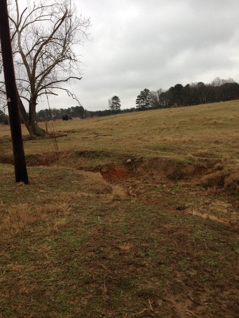 Erosion ditch in pasture