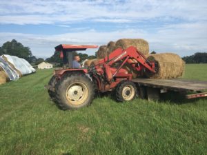 Tractor loading hay onto our trailer