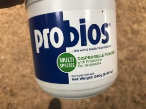 Probios powder formula from Tractor Supply. 