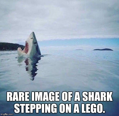 Shark stepping on a lego