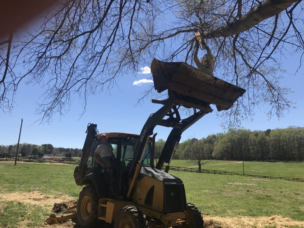 Jennifer in the bucket of the backhoe getting a swarm of bees. 