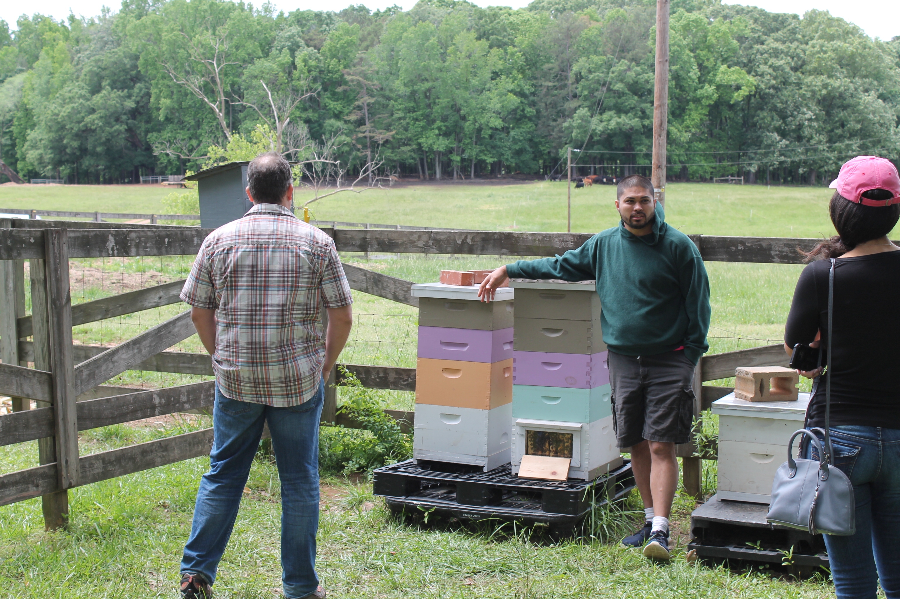 Mark with bee hives