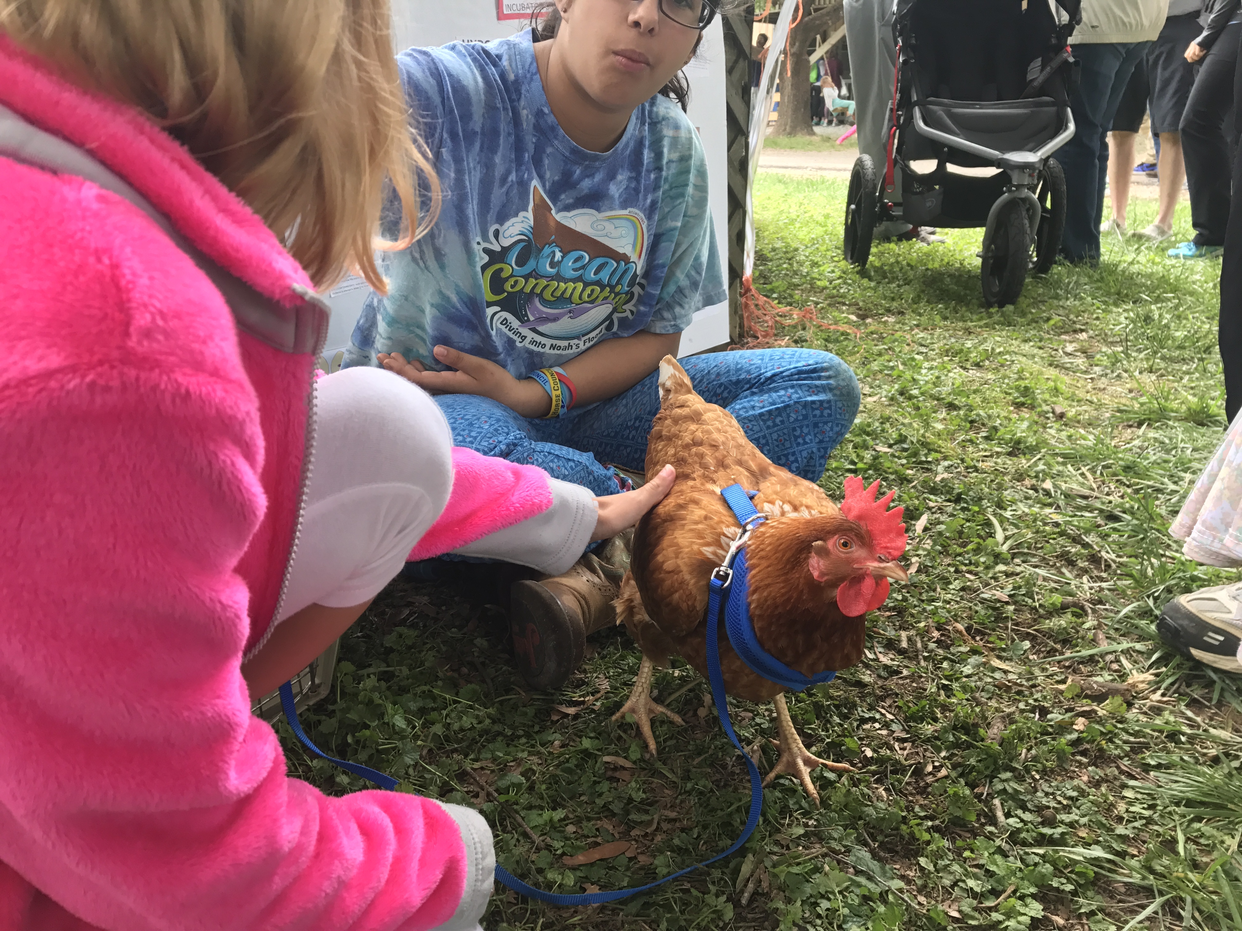 Jayden and her chickens, letting people have a chance to hold them.