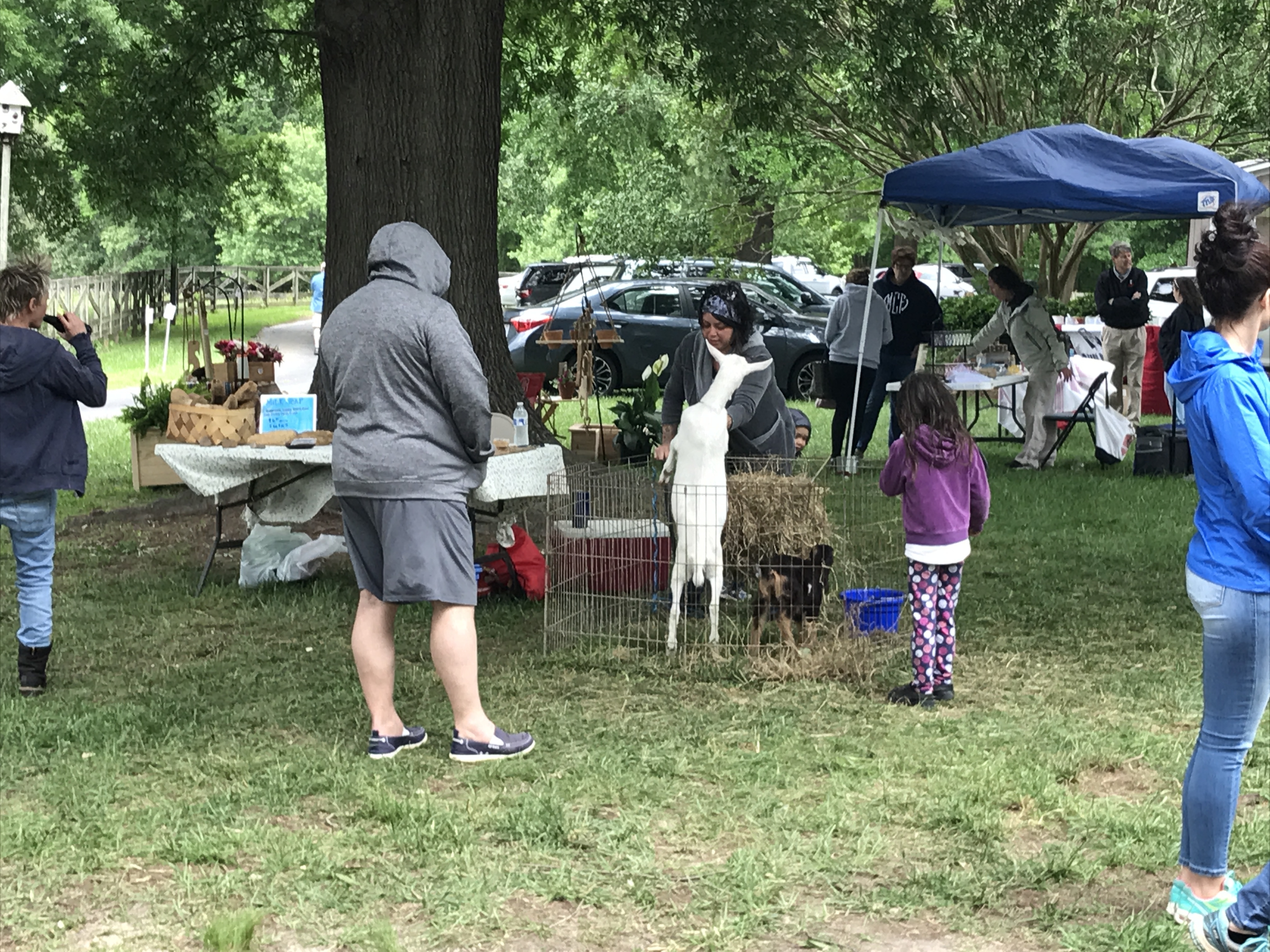 The baby goats were equally popular.