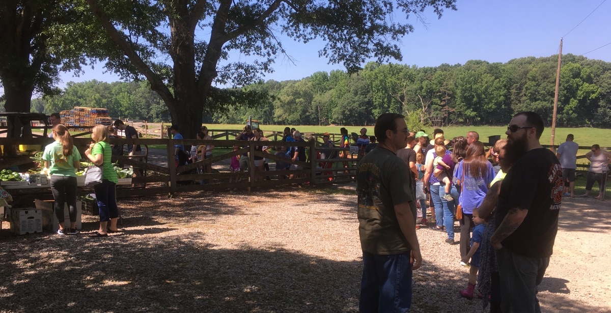 Line to see a baby piglet