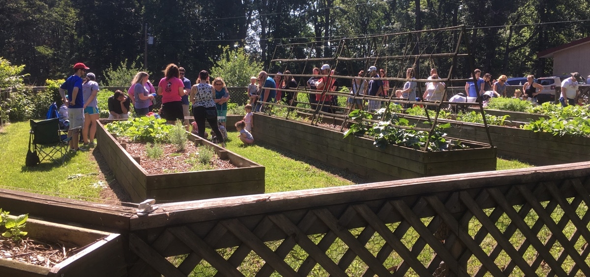 The line of folks waiting to see the piglet waiting in the garden