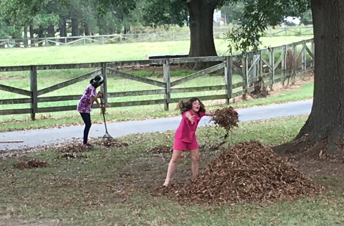 The girls, building their leaf pile