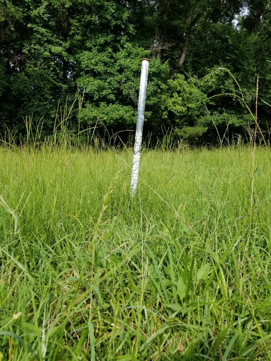 before grazing, with grazing marker in view.