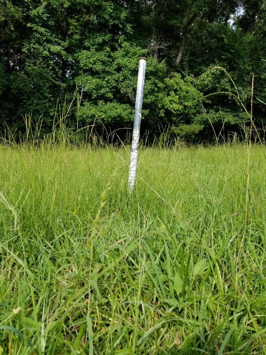 before grazing, with grazing marker in view. 