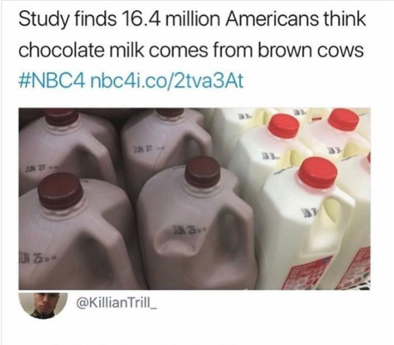 How many people think chocolate milk comes from brown cows Chocolate Milk Comes From Brown Cows Ninja Cow Farm Llc