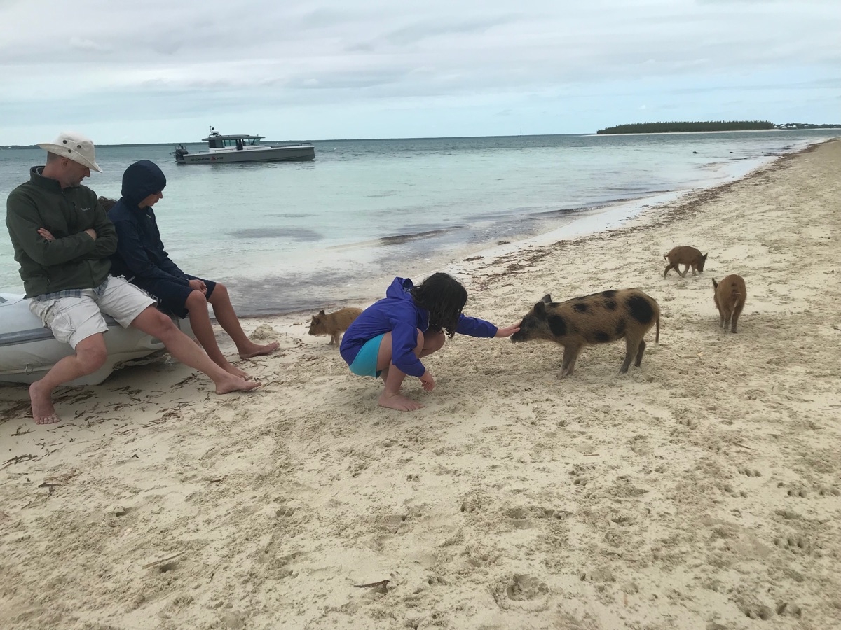 Wildflower feeding pigs at No Name Cay in the Bahamas