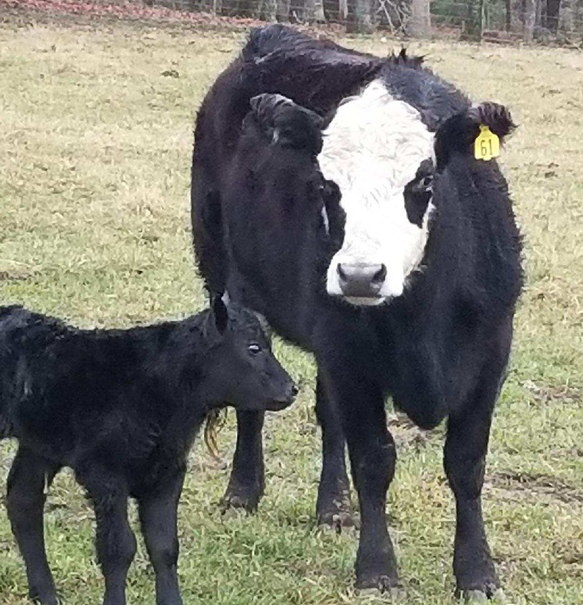 Mom and son together after tagging