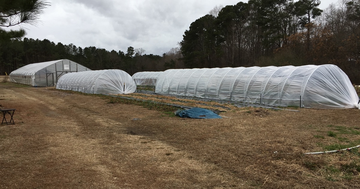 Some of the green houses at Chickadee Farm