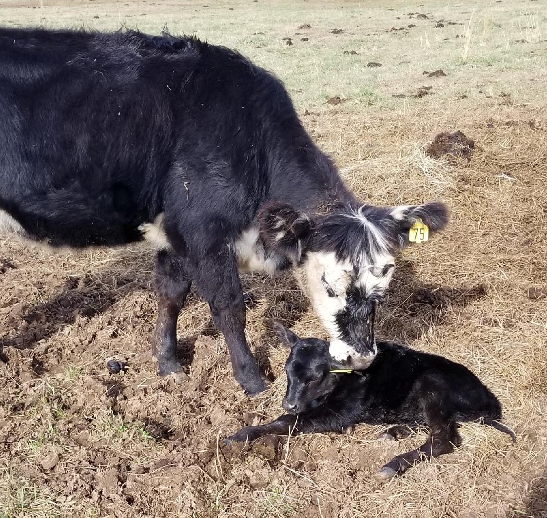 #92 with her mom, #75