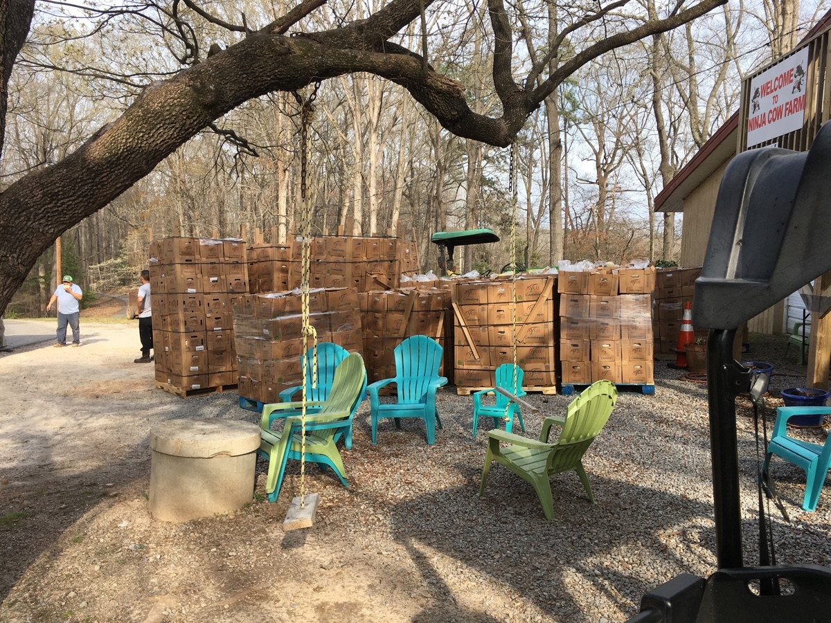 Pallets of cantaloupes