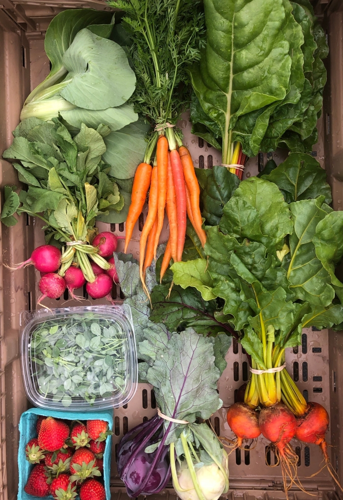 CSA vegetable box