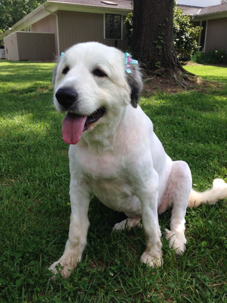 Cotton dolled up for summer