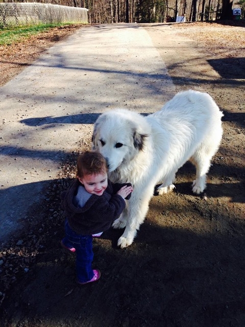 Cotton checking out a visiting kid